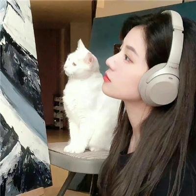 剧情人生